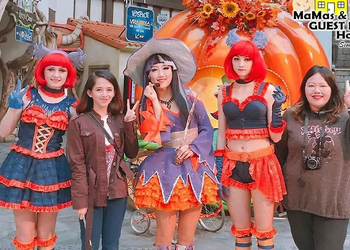 ホテル Mamas And Papas Hongdae 2*